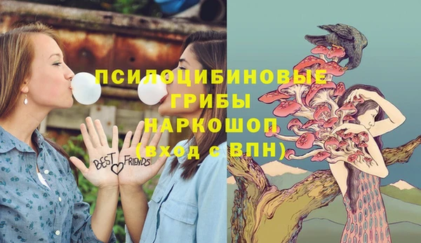 кокс Баксан