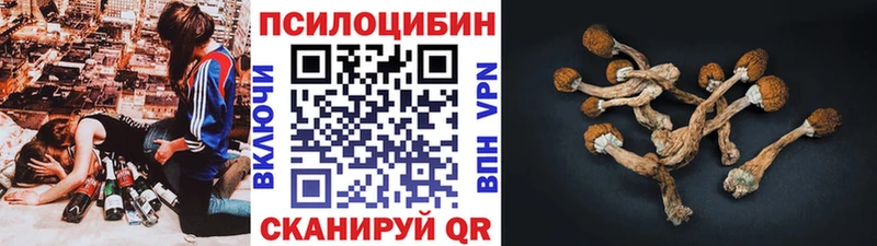 Купить закладки  Анжеро-Судженск  Галлюциногенные грибы Psilocybine cubensis 